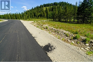 Lot 10 Mary G Road - Photo 3