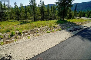 Lot 10 Mary G Road - Photo 4