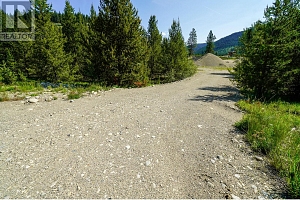 Lot 10 Mary G Road - Photo 6