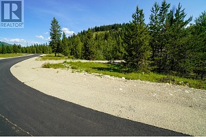 Lot 10 Mary G Road - Photo 8