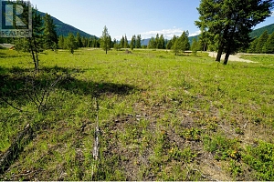 Lot 9 Mary G Road - Photo 2