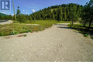 Lot 9 Mary G Road - Photo 3