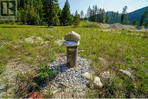 Lot 9 Mary G Road - Photo 4