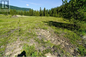 Lot 9 Mary G Road - Photo 6