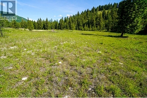 Lot 9 Mary G Road - Photo 7