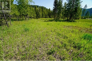 Lot 5 Mary G Road - Photo 10