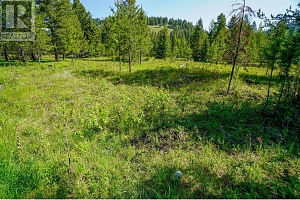 Lot 5 Mary G Road - Photo 11