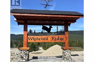 Lot 5 Mary G Road - Photo 12