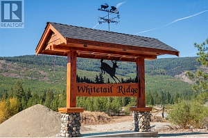 Lot 5 Mary G Road - Photo 3