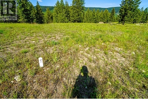 Lot 5 Mary G Road - Photo 4