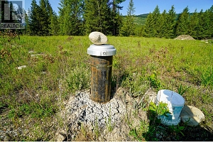 Lot 5 Mary G Road - Photo 5