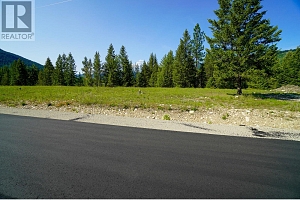 Lot 5 Mary G Road - Photo 6