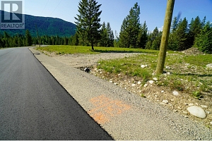 Lot 5 Mary G Road - Photo 7