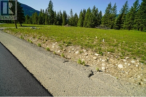 Lot 5 Mary G Road - Photo 8