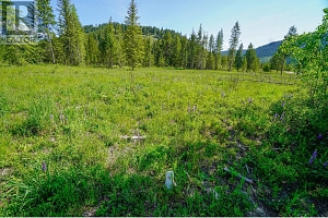 Lot 5 Mary G Road - Photo 9