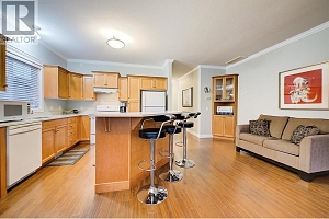 2171 Mimosa Drive - Photo 9