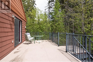 1306 Huckleberry Road - Photo 88