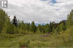 1306 Huckleberry Road - Photo 99