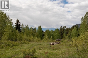 1306 Huckleberry Road - Photo 99