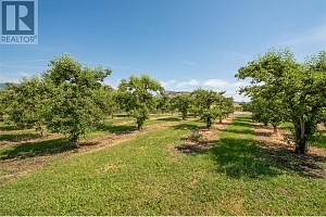 3982 Hitchner Road - Photo 19