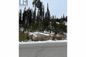 Lot 9 Snowpines Way - Photo 2