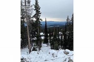 Lot 9 Snowpines Way - Photo 4