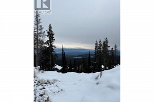 Lot 9 Snowpines Way - Photo 5