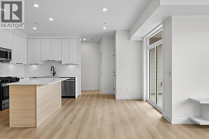 5300 Main Street Unit# 202 - Photo 8