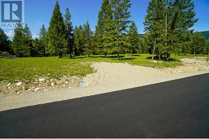 Lot 6 Mary G Road - Photo 10