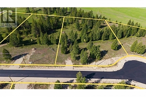 Lot 6 Mary G Road - Photo 2