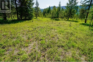 Lot 6 Mary G Road - Photo 3