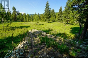 Lot 6 Mary G Road - Photo 4