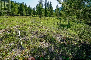 Lot 6 Mary G Road - Photo 6