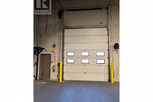 3314 Appaloosa Road Unit# 2/3/4 - Photo 5