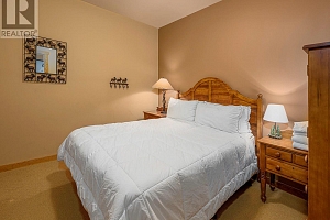 250 Feathertop Way Unit# 112 - Photo 9