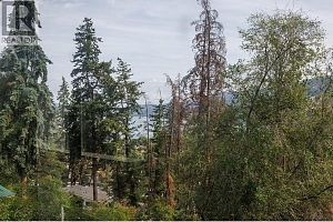 11175 Pretty Road - Photo 11