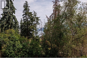11175 Pretty Road - Photo 24