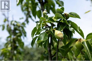 3102 13 Street - Photo 31