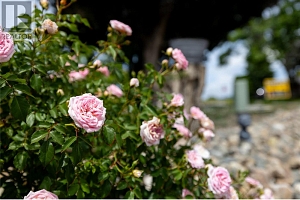 3102 13 Street - Photo 34