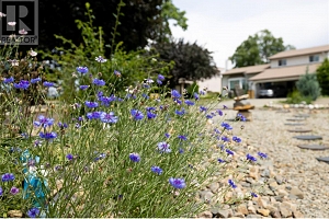 3102 13 Street - Photo 35