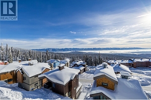 550 Feathertop Way - Photo 15