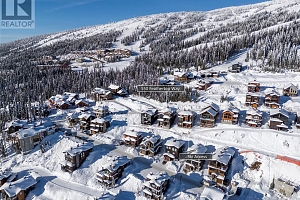 550 Feathertop Way - Photo 45