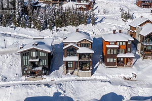 550 Feathertop Way - Photo 46