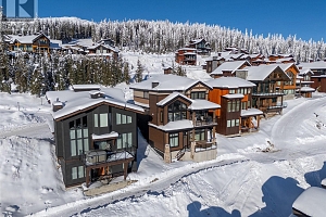 550 Feathertop Way - Photo 48