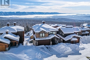 550 Feathertop Way - Photo 49