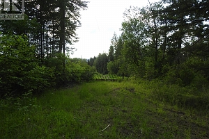 4345 Colebank Road - Photo 37