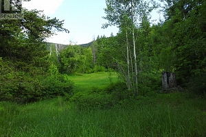 4345 Colebank Road - Photo 42