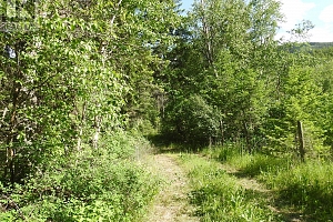 4345 Colebank Road - Photo 9