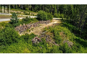 8022 Aspen Road - Photo 83