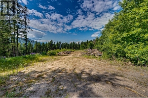 8022 Aspen Road - Photo 87